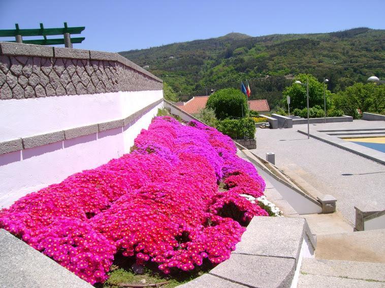 Miradouro Da Serra Monchique Eksteriør bilde